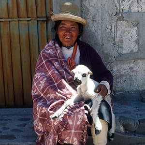 Ultimate South America with Arequipa & Colca Canyon