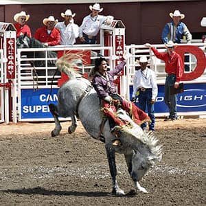 Majestic Rockies with the Calgary Stampede