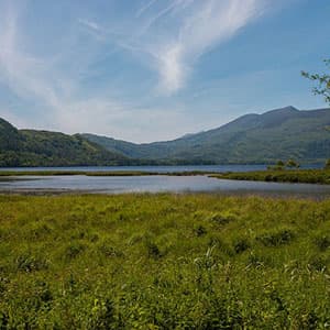 Irish Escape