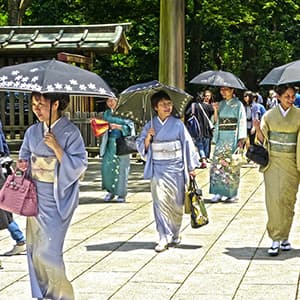 Visions of Japan